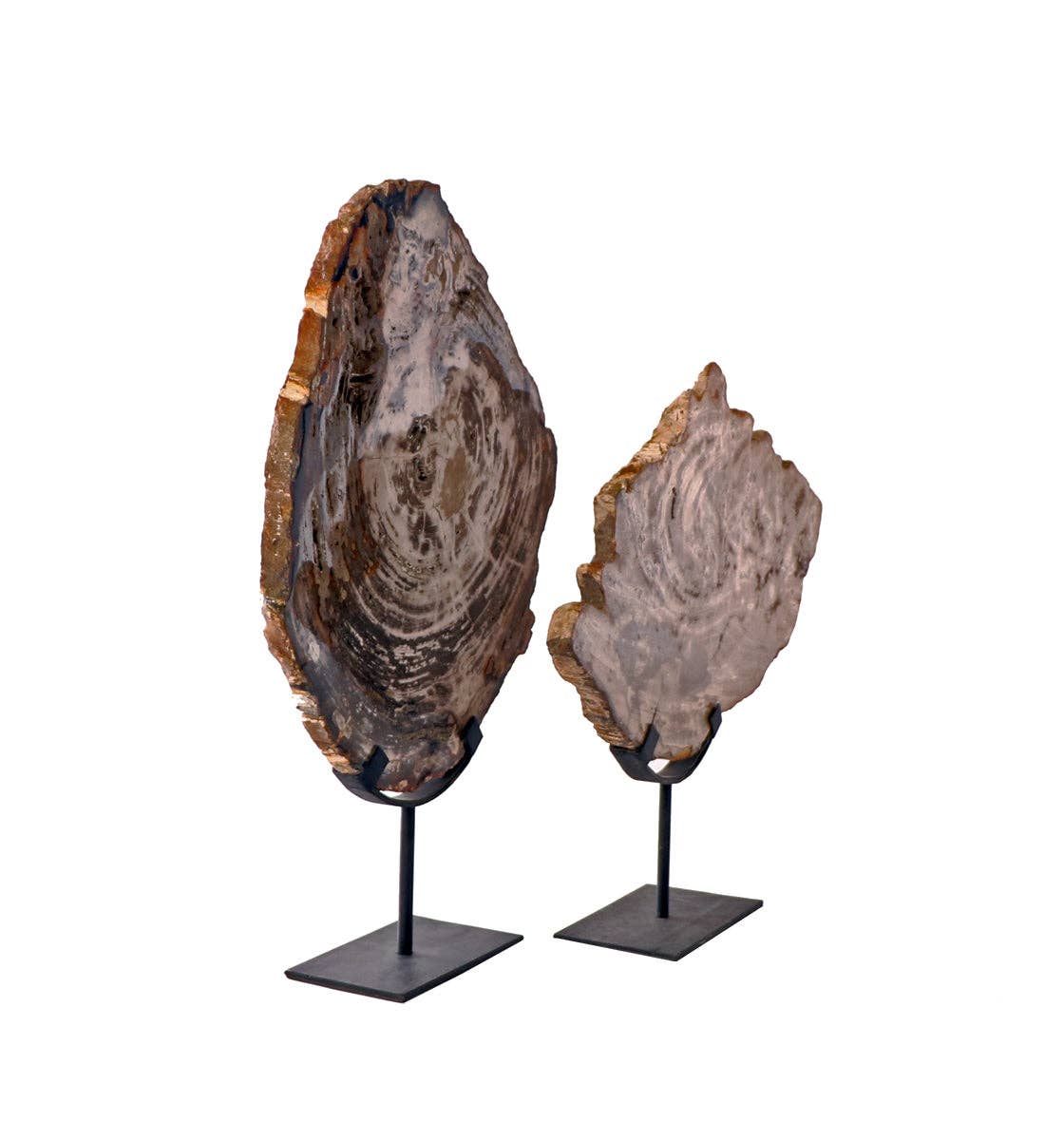 Petrified Wood on Iron Stand