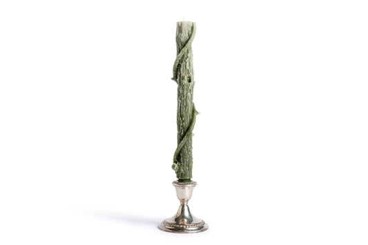 Stick Candle Bittersweet Oak Pair, Forest Green