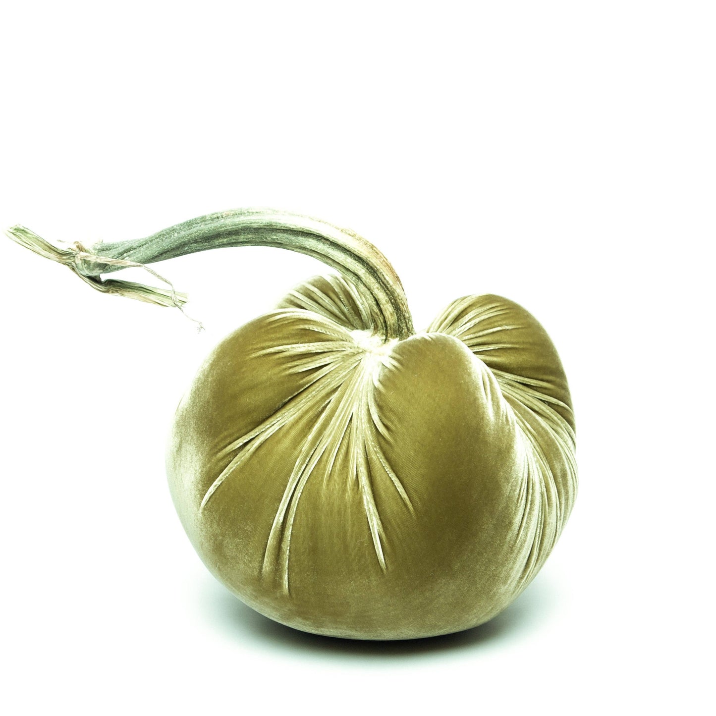 Celery Silk Velvet Pumpkin