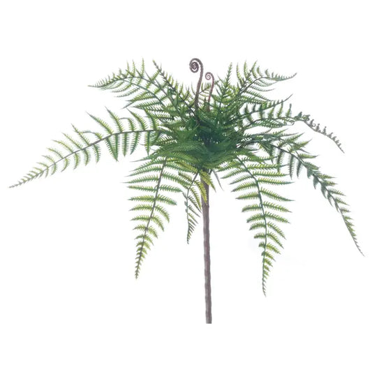 Sullivan's Leather Leaf Fern Pick