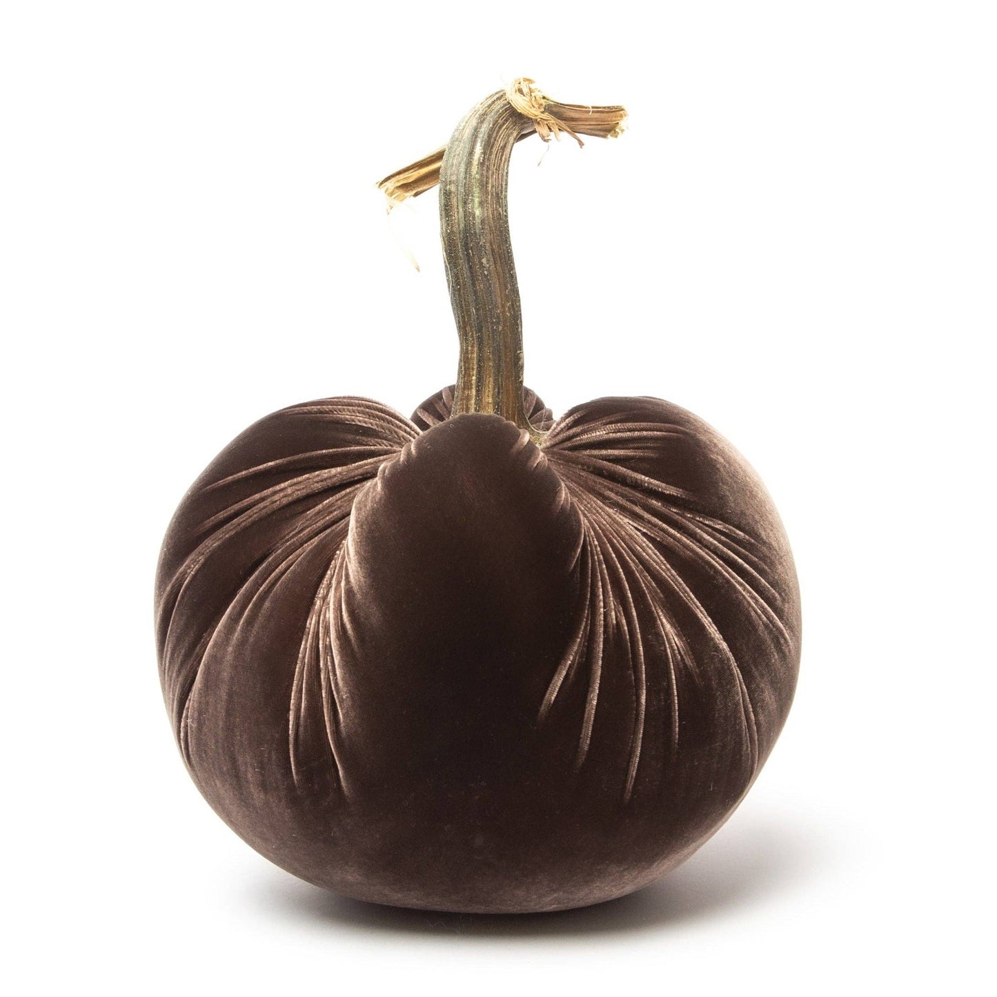 Espresso Silk Velvet Pumpkin