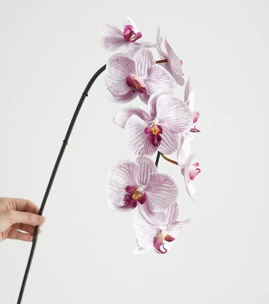5” plum vein orchid faux stem