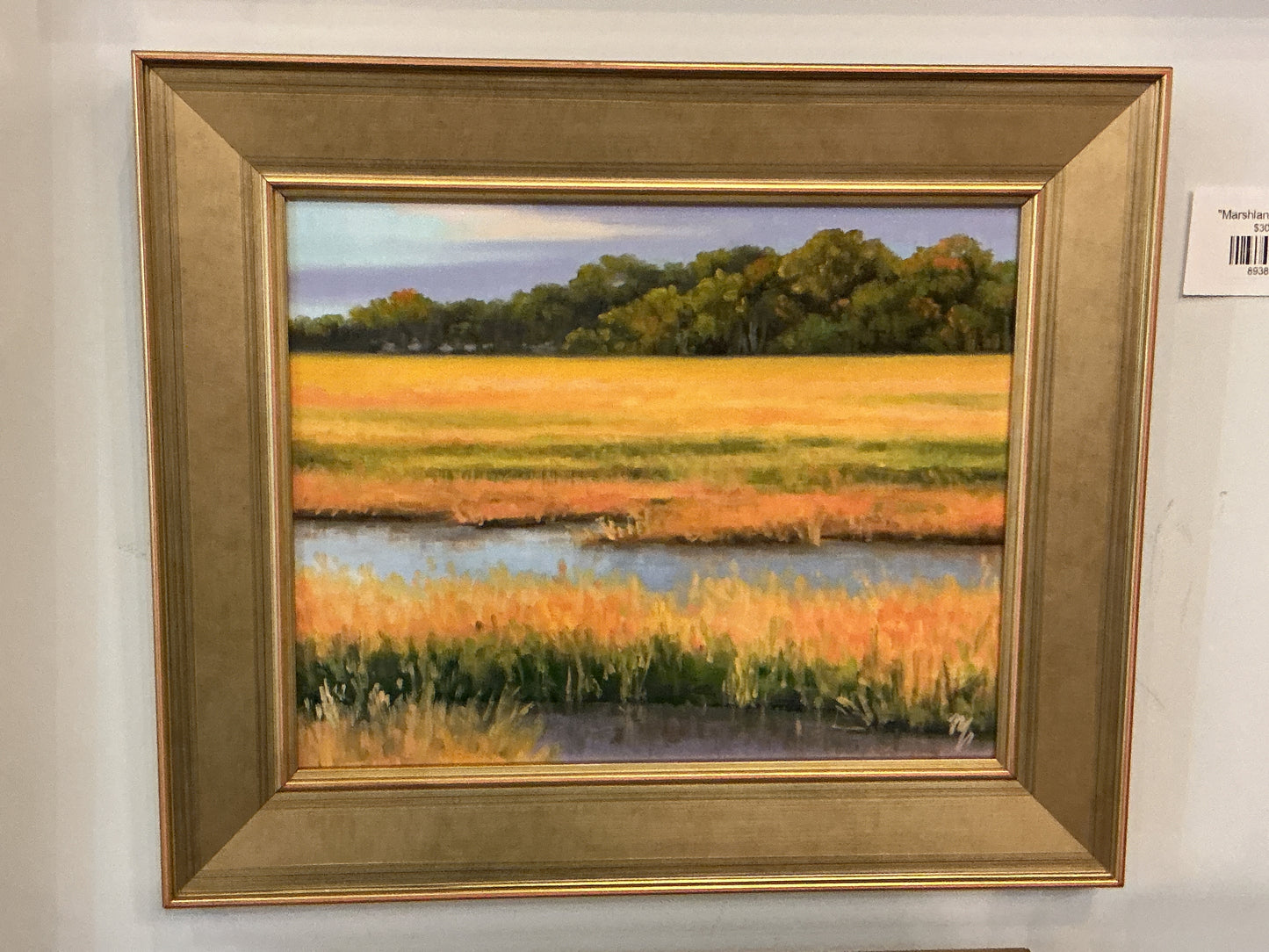"Marshlands In Gold"