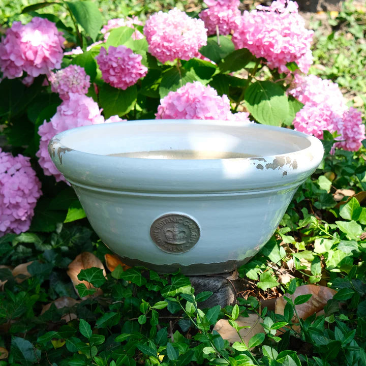Botanical Collection Kew Scarlett Bowl Large, Old White