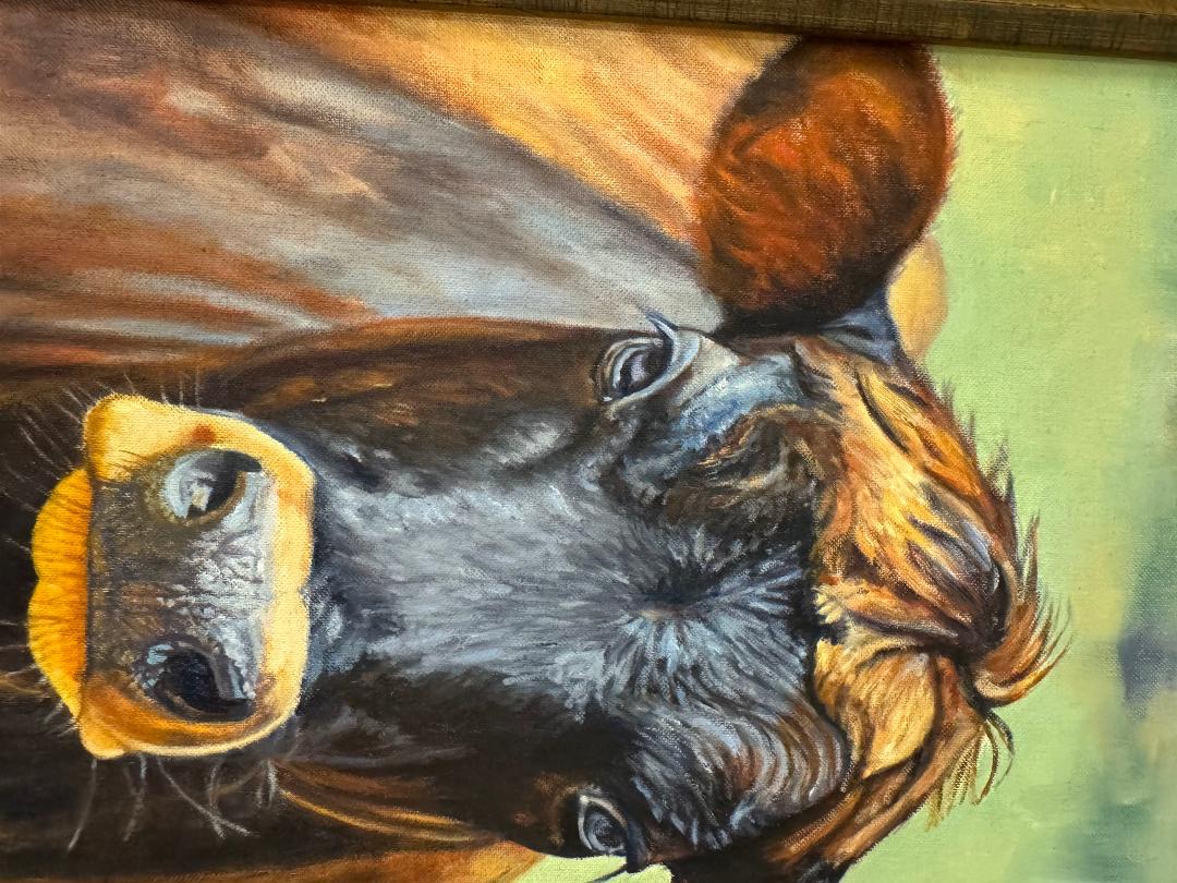 Cow