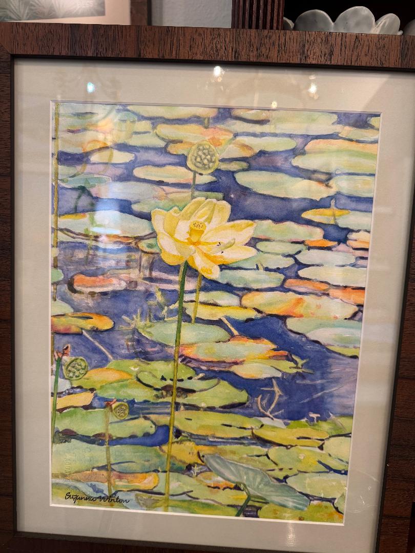 Water Lilies
