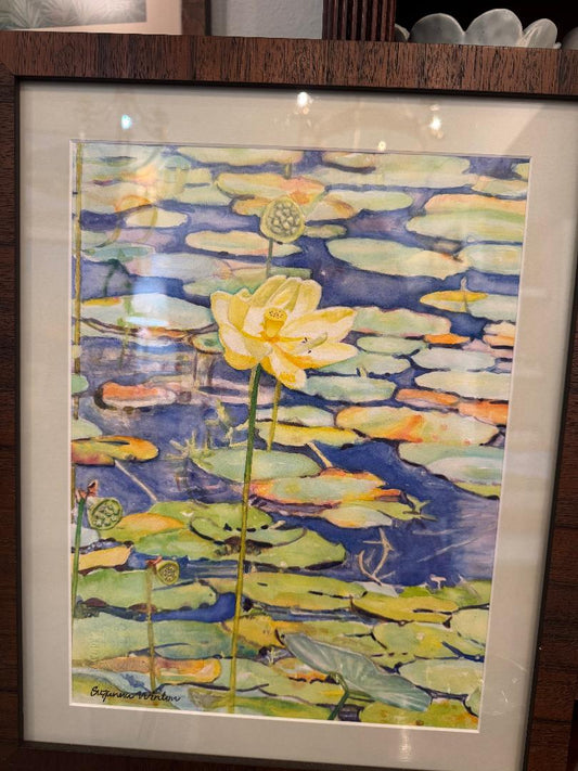 Water Lilies