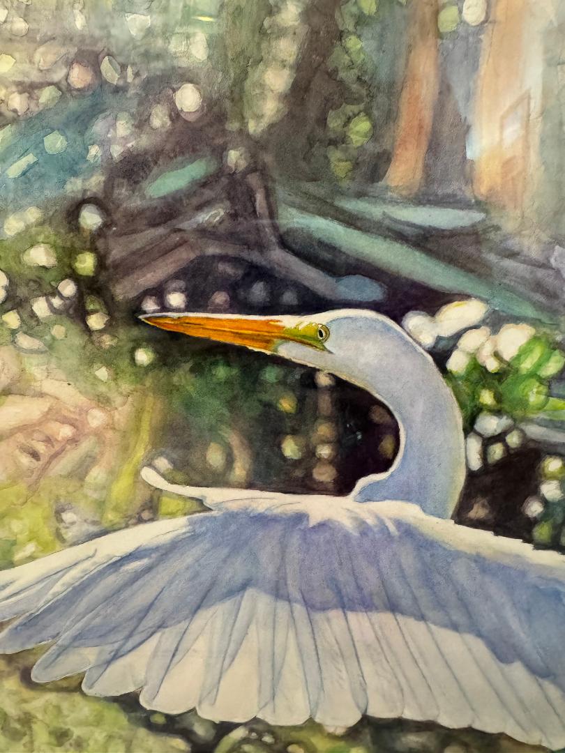 Flying Egret
