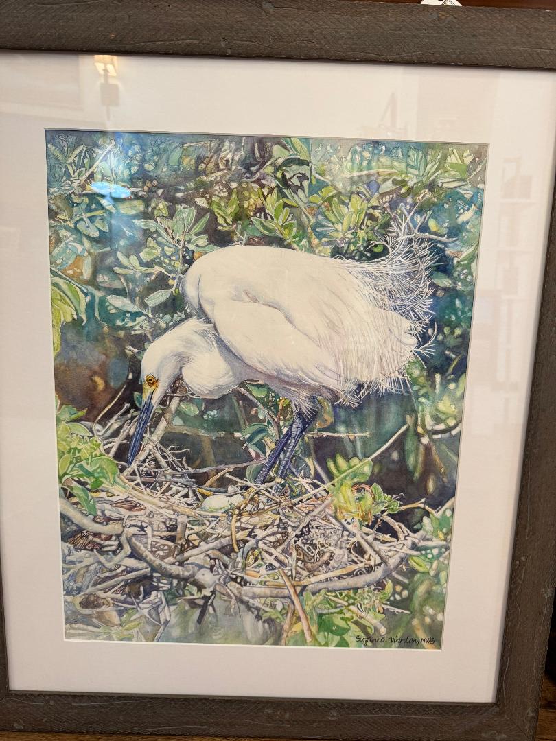 Waiting To Hatch (White Egret)