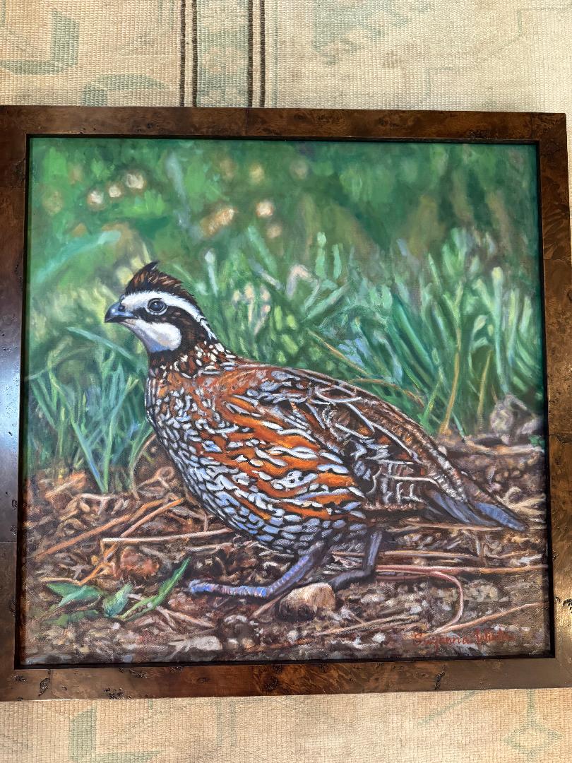 Quail