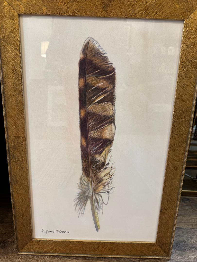 Red Tail Hawk Feather